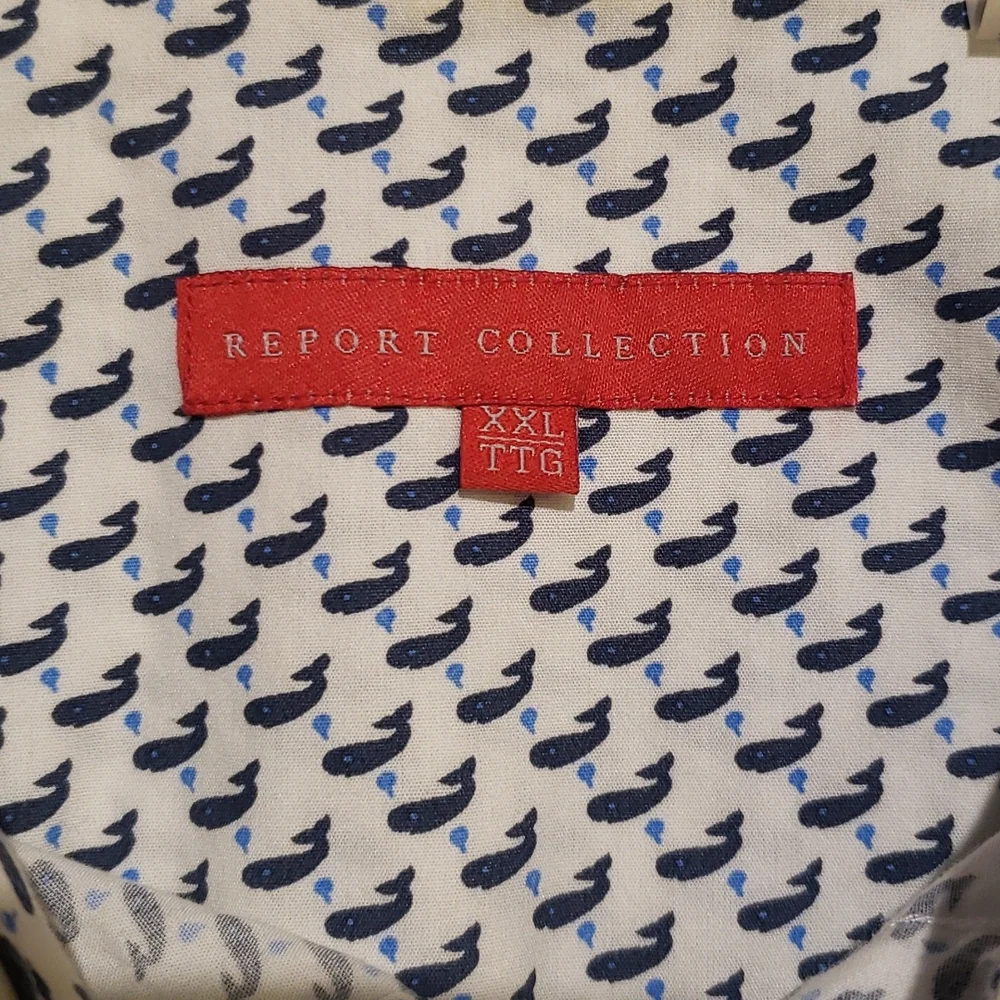 Button down - Picture 3 of 4